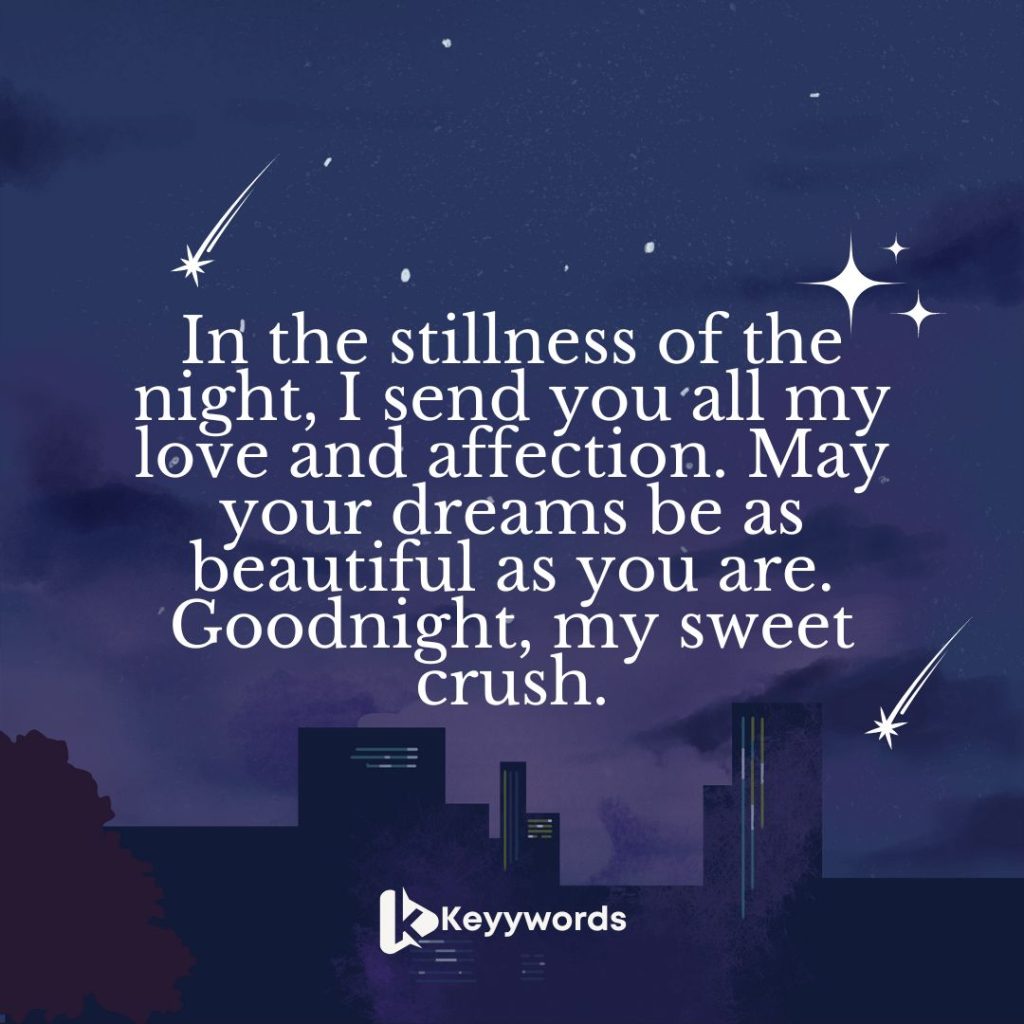 Emotional Good night messages for crush