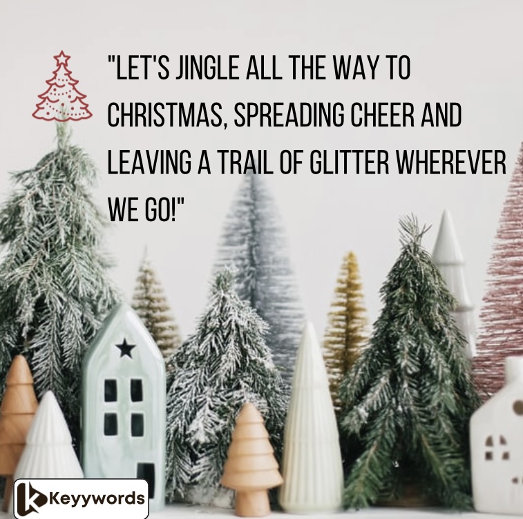 Funny Christmas Quotes to My Female Friends