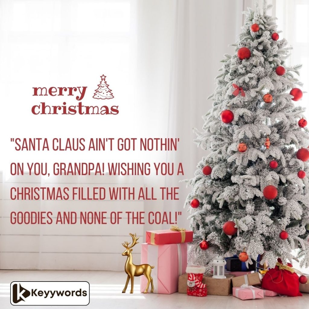 Funny Merry Christmas Messages for Grandpa from Friends and Family