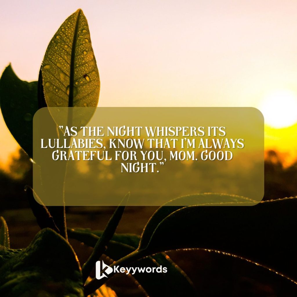 Good night messages for a mother from a son