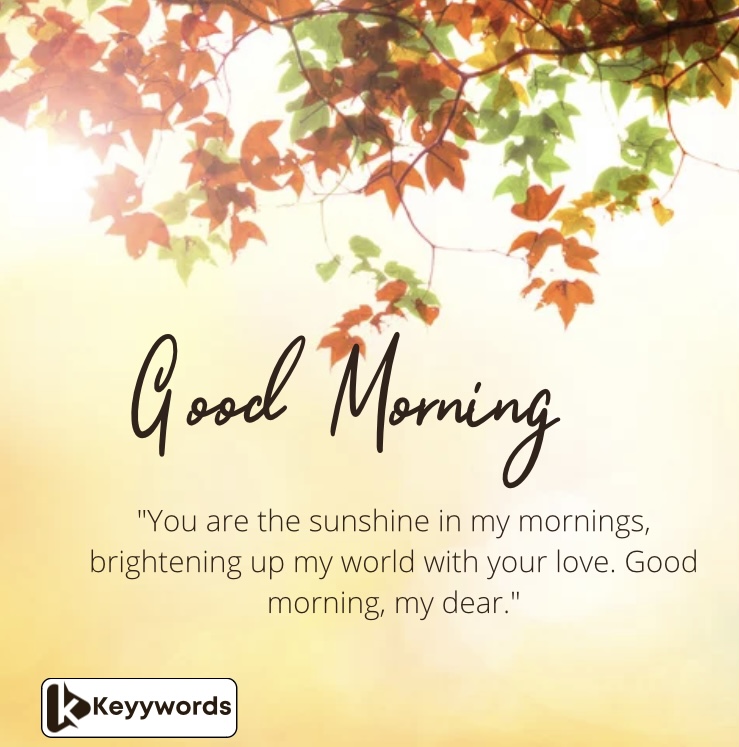 Heartwarming Morning Messages to My Wife