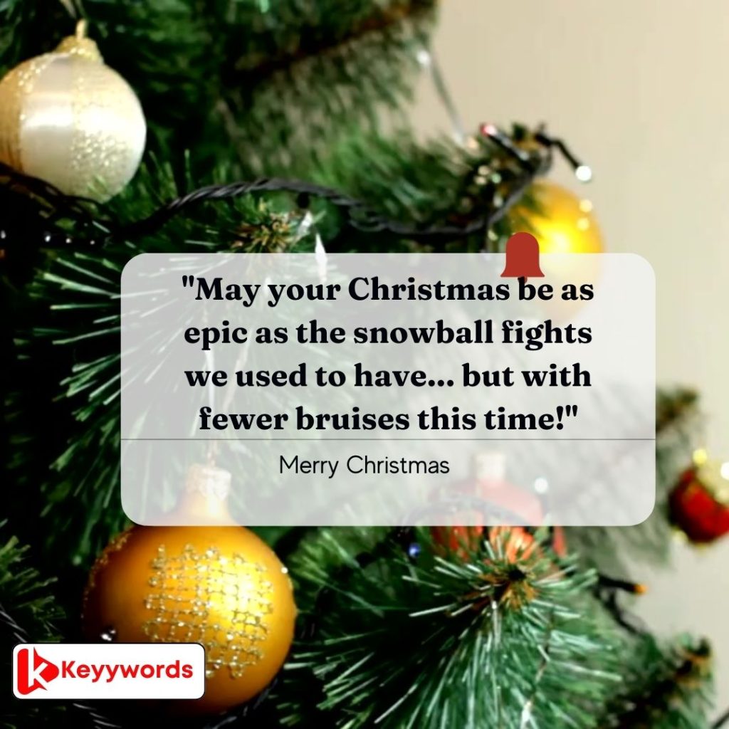 Merry Christmas wishes for a funny brother-in-law