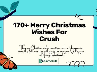 170+ Merry Christmas Wishes For Crush 