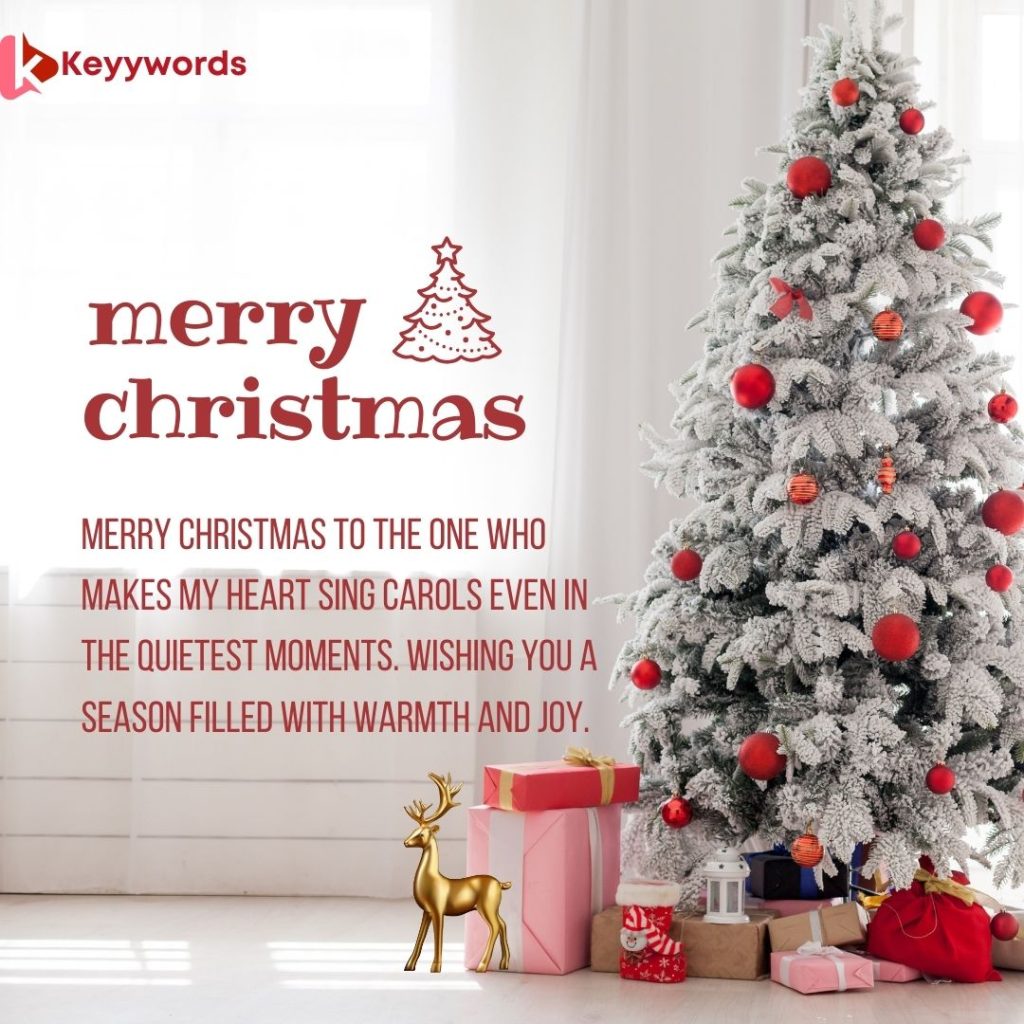 Emotional Merry Christmas Wishes For Crush