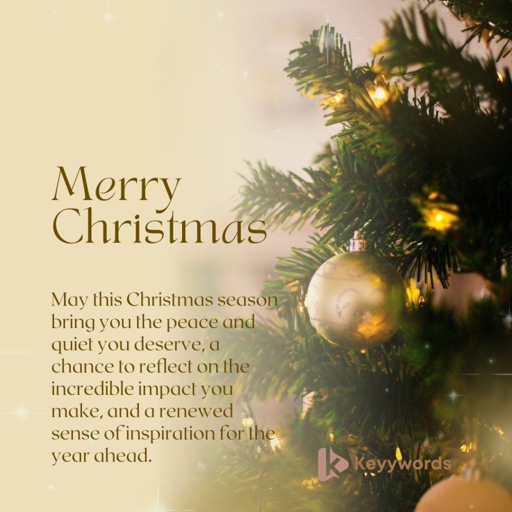 Merry Christmas Wishes For single Teacher