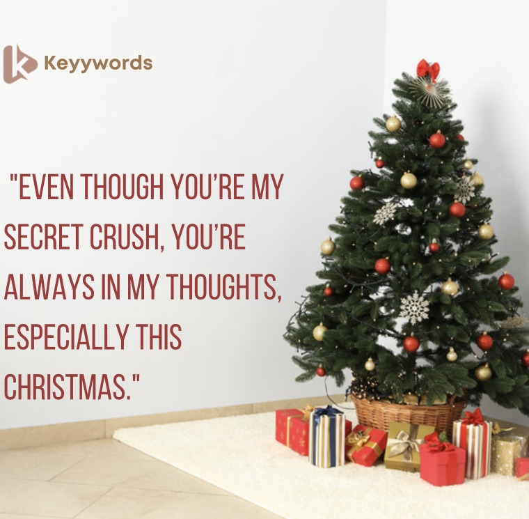 Merry Christmas Quotes for the Secret Crush
