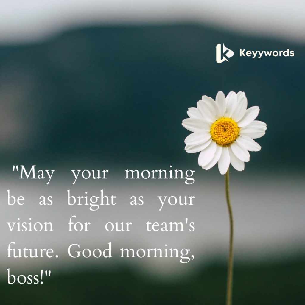 Good morning, wishes for boss.