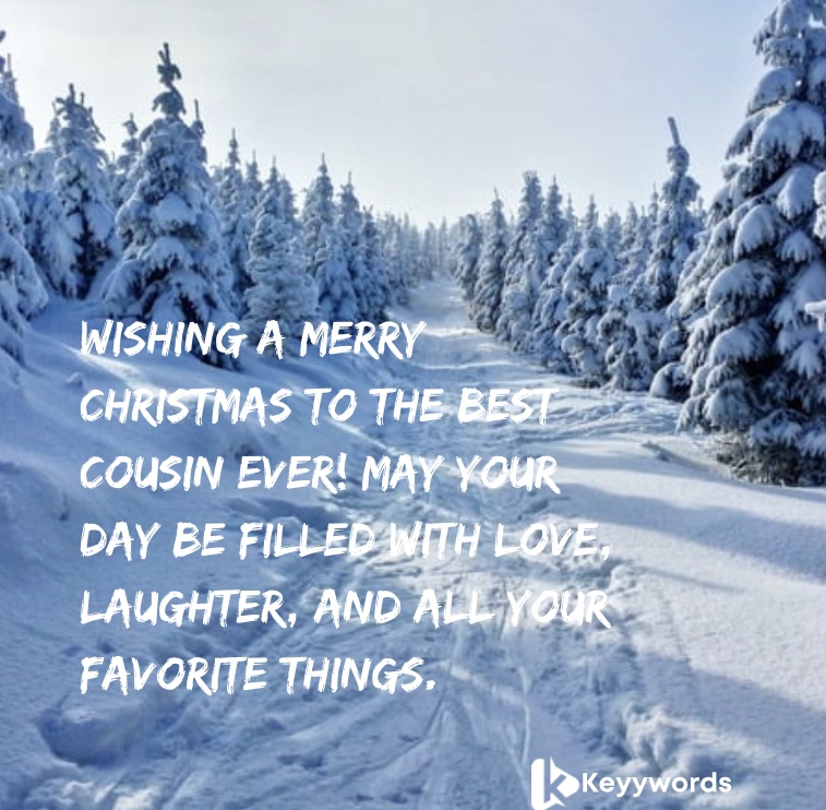 Sweet Merry Christmas wishes for male cousins