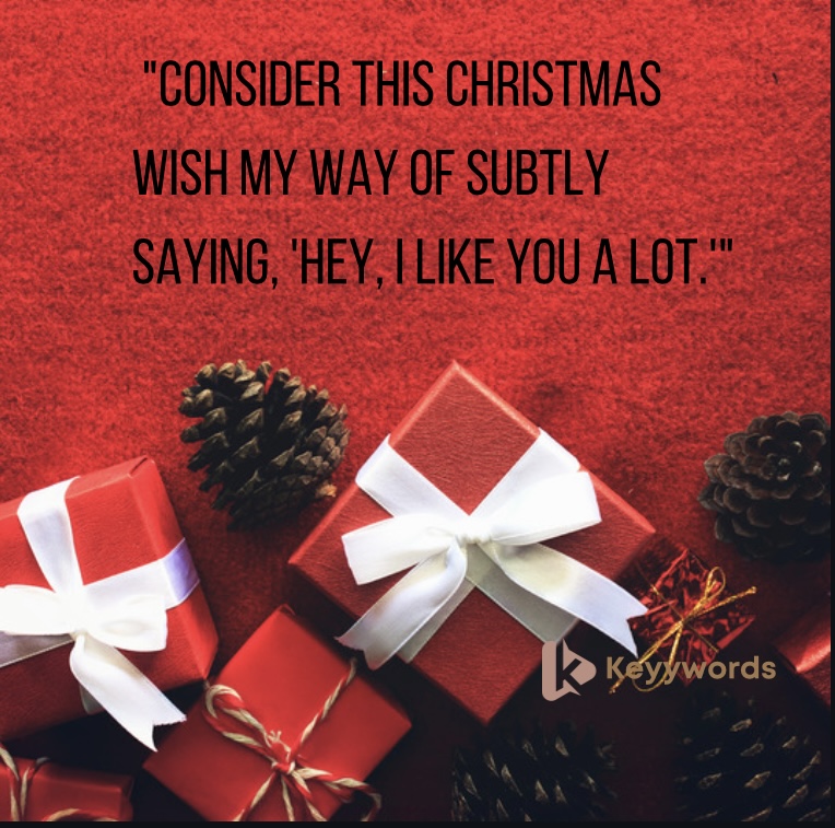 Hilarious Merry Christmas Messages for Crush