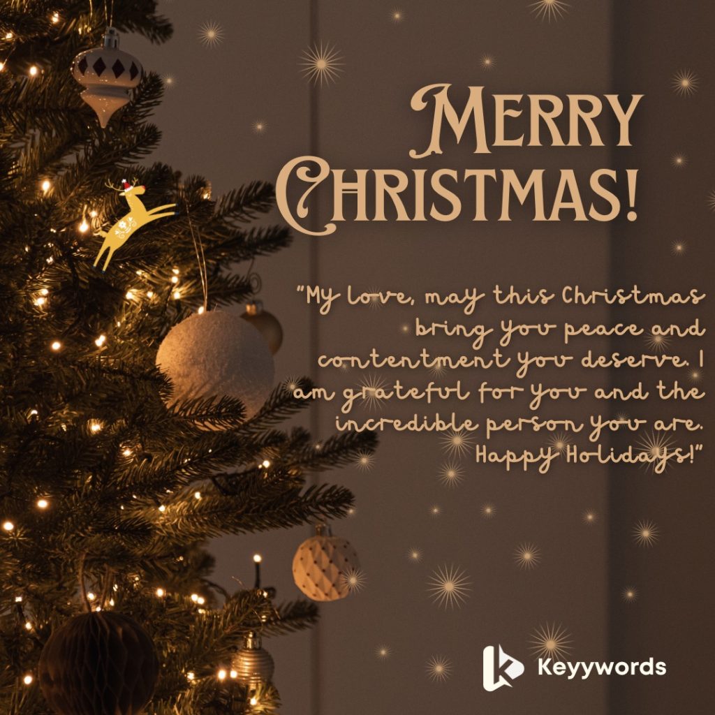 Merry Christmas love messages for him