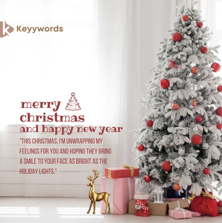 Merry Christmas Quotes for Crush