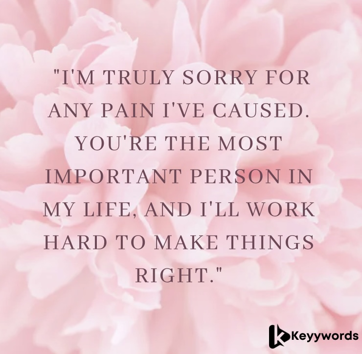 Sorry for Hurting You Husband Quotes