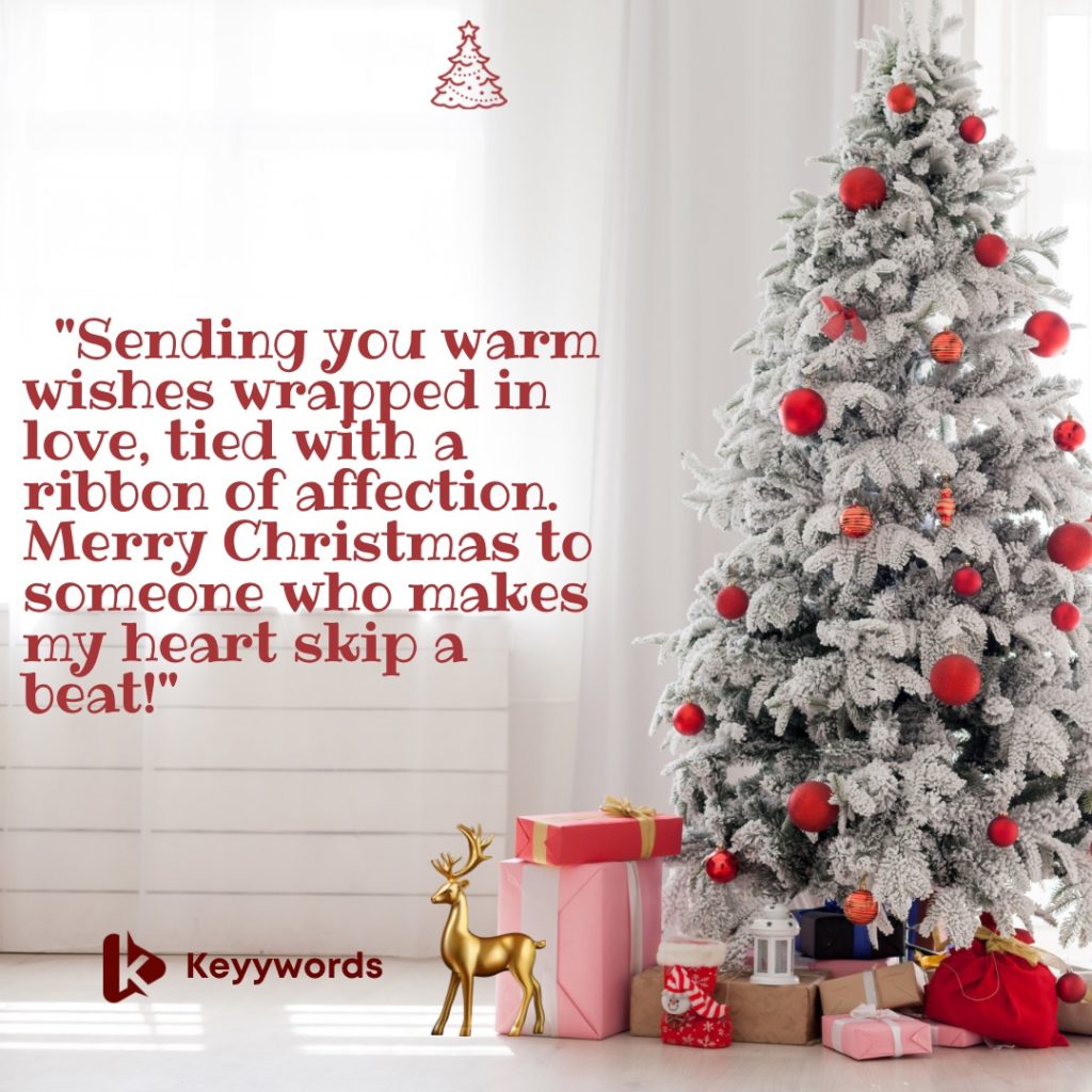 Merry Christmas greetings for your crush 