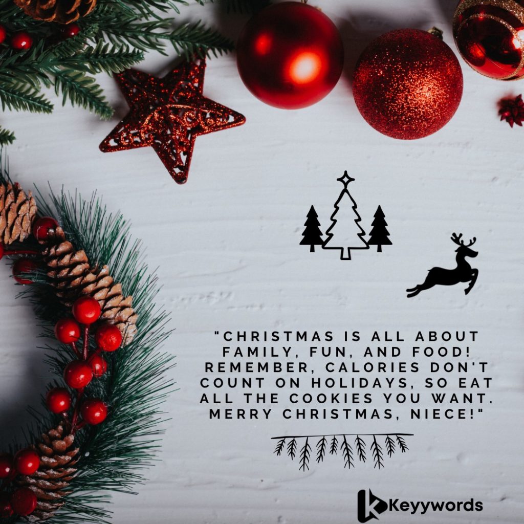 Merry Christmas Wishes for Niece Funny