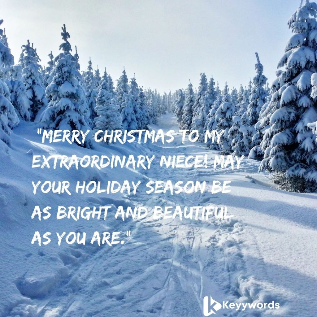Merry Christmas Text for Niece